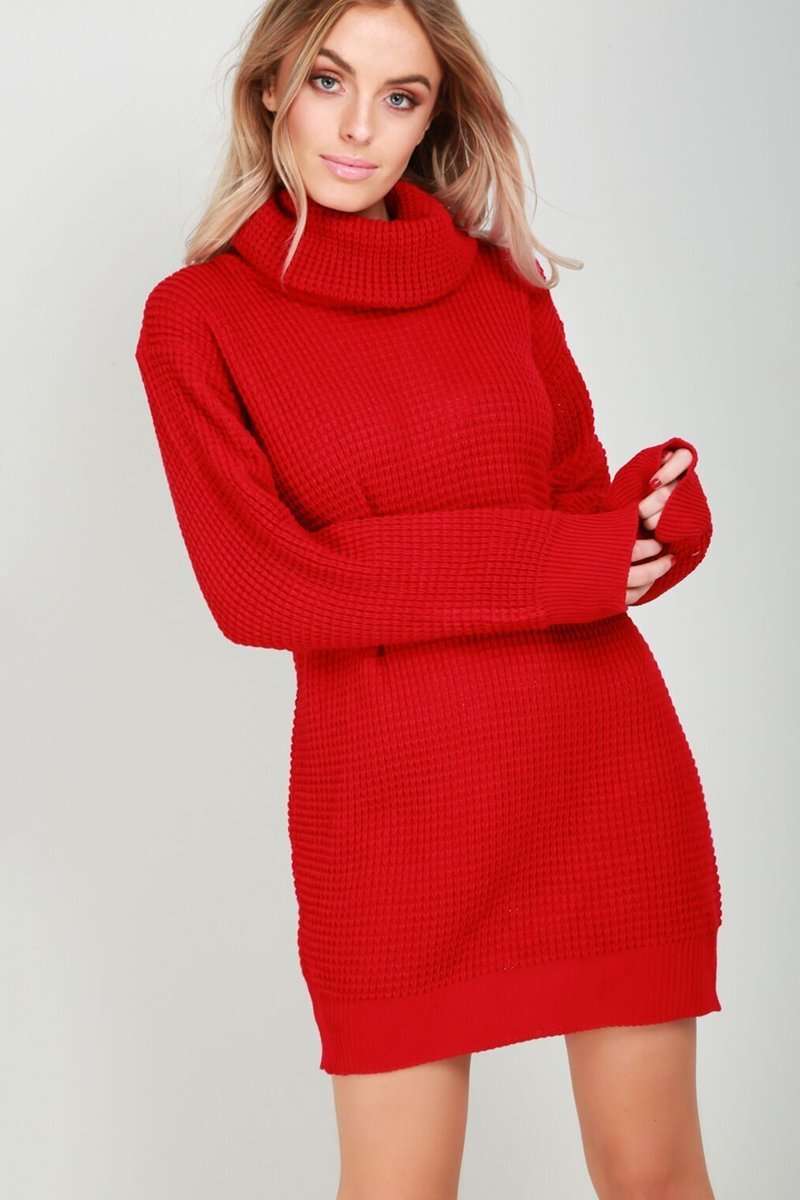 Long Sleeve Turtle Neck Knitted Dress - bejealous-com