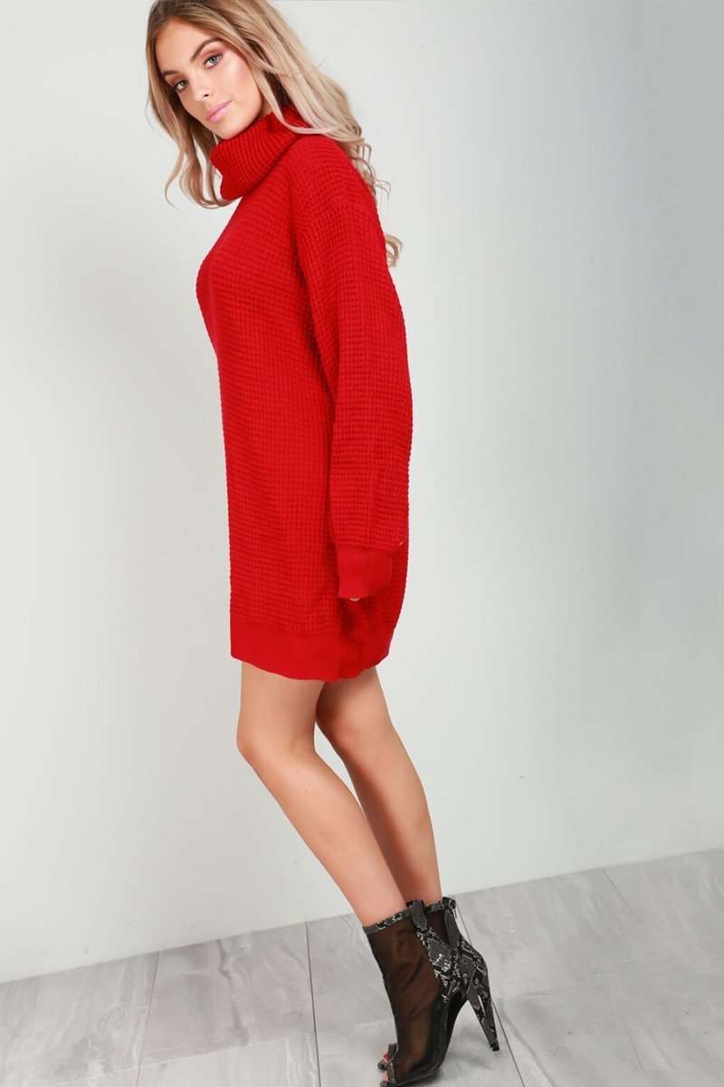 Long Sleeve Turtle Neck Knitted Dress - bejealous-com
