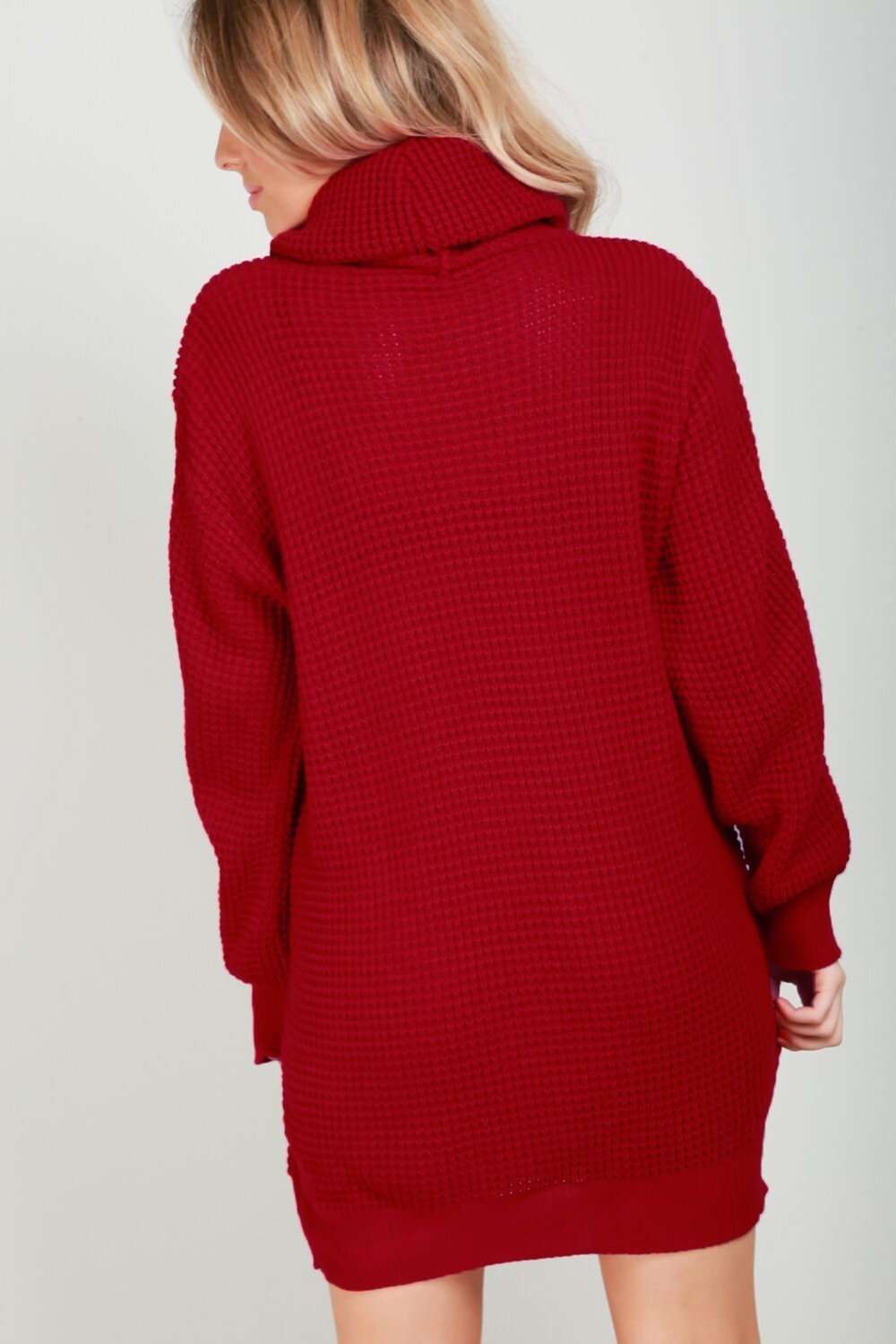 Long Sleeve Turtle Neck Knitted Dress - bejealous-com