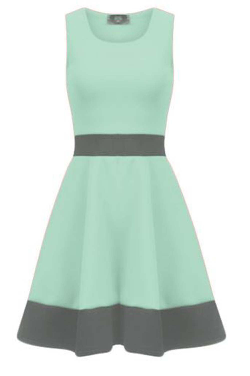 Danielle Sleeveless Monochrome Paneled Skater Dress