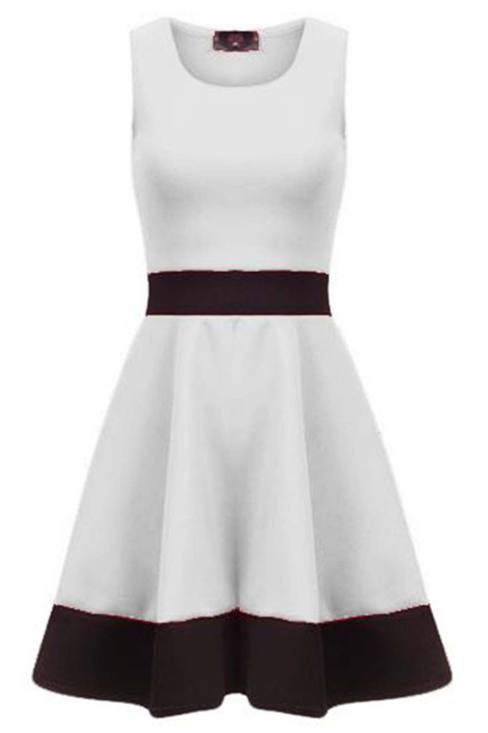 Danielle Sleeveless Monochrome Paneled Skater Dress