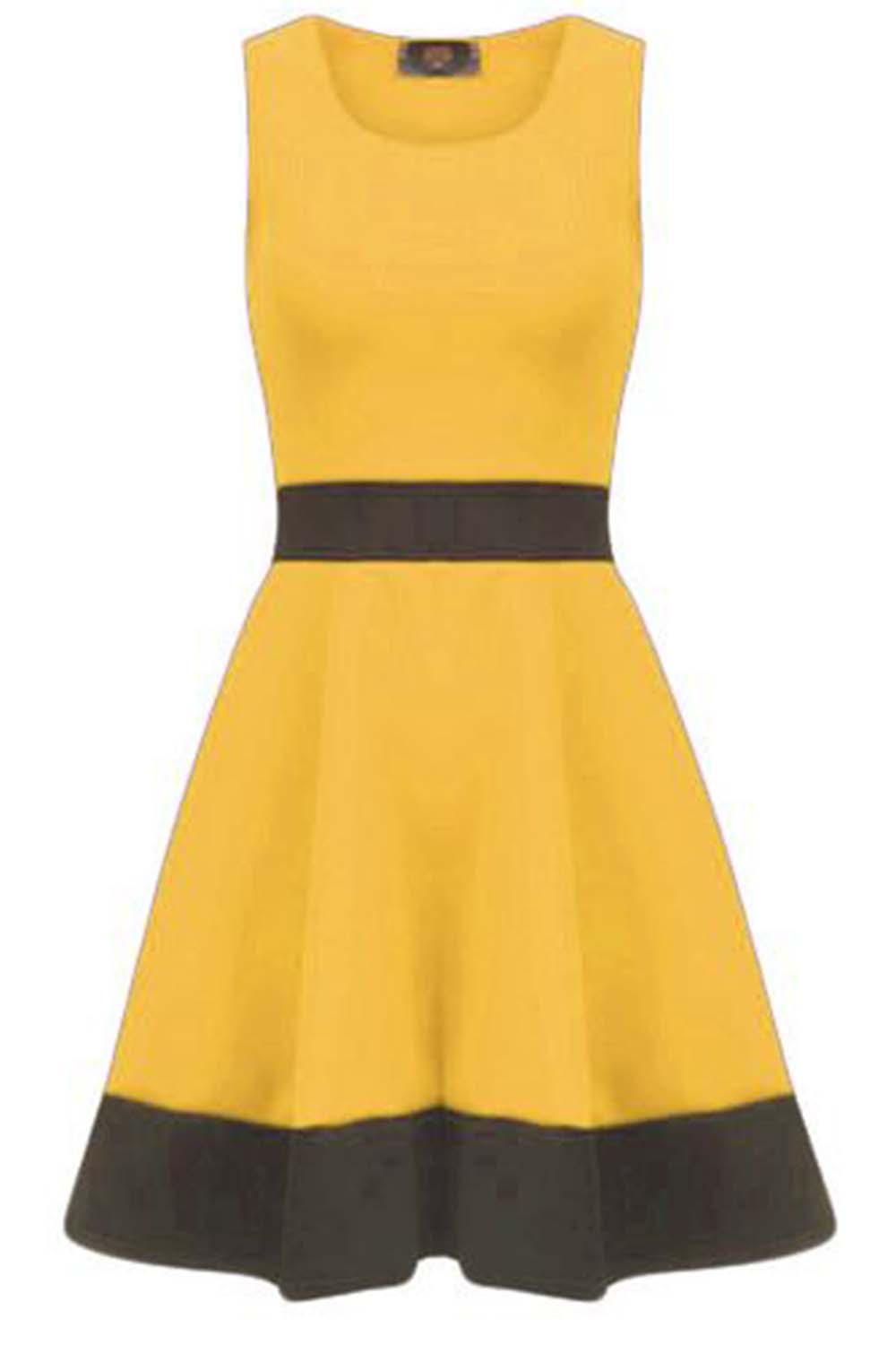 Danielle Sleeveless Monochrome Paneled Skater Dress