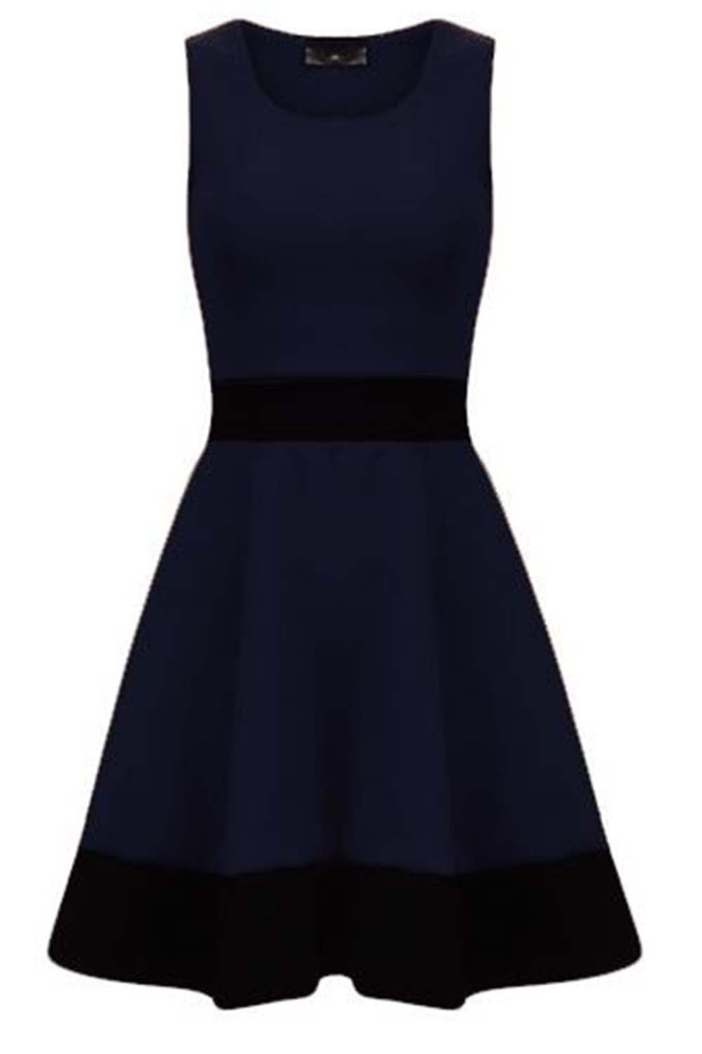 Danielle Sleeveless Monochrome Paneled Skater Dress