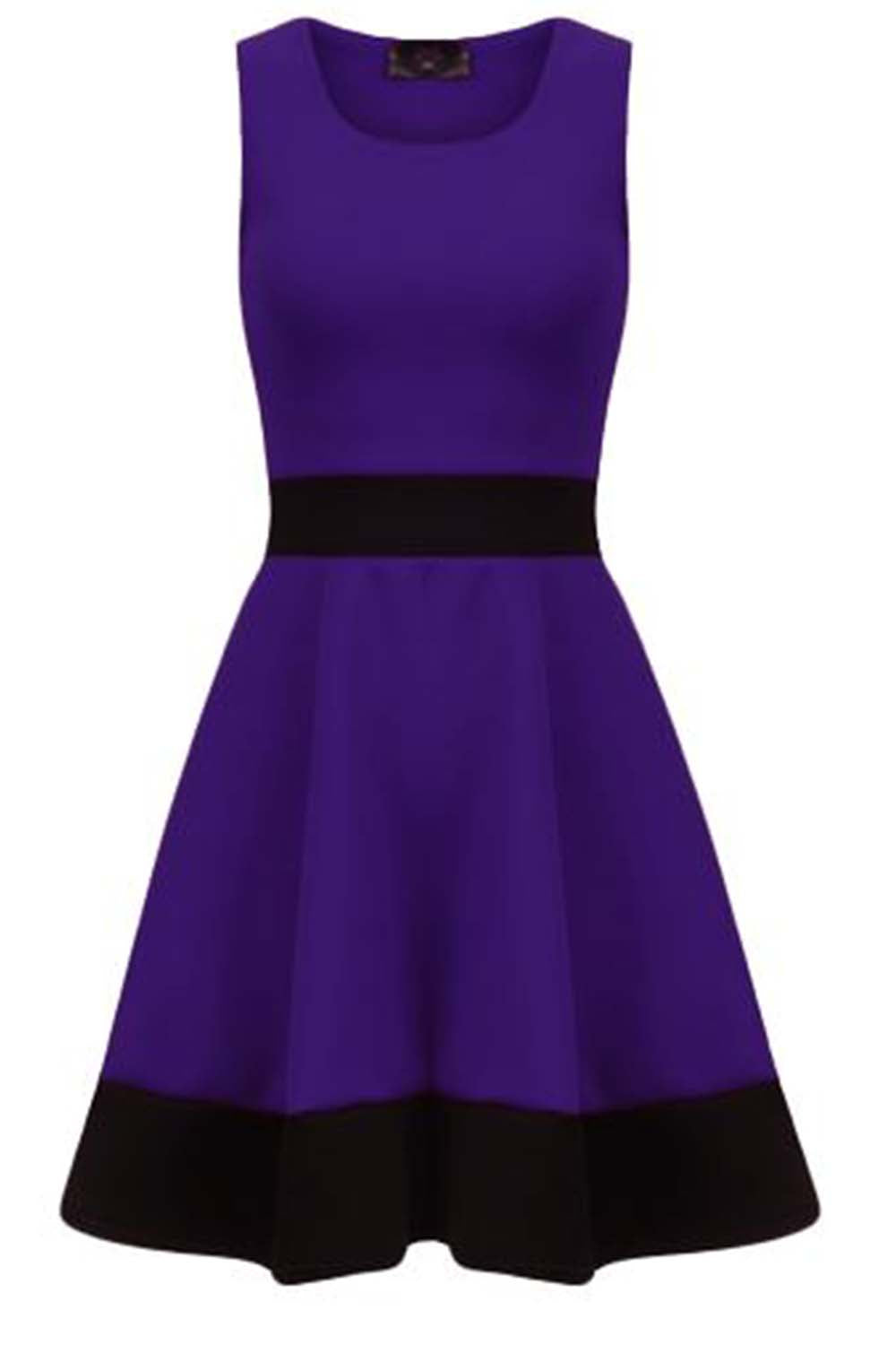 Danielle Sleeveless Monochrome Paneled Skater Dress