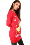 Long Sleeve Christmas Reindeer Jumper Dress - bejealous-com
