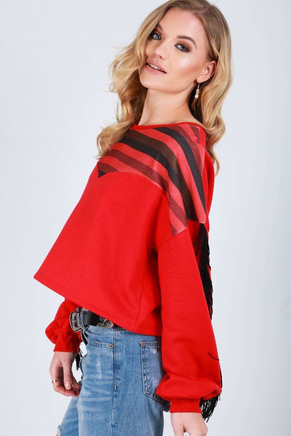 Amelia Tassel Sleeve Oversized Striped Cropped Sweater - bejealous-com
