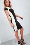 Caroline Monochrome Panelled Bodycon Dress - bejealous-com