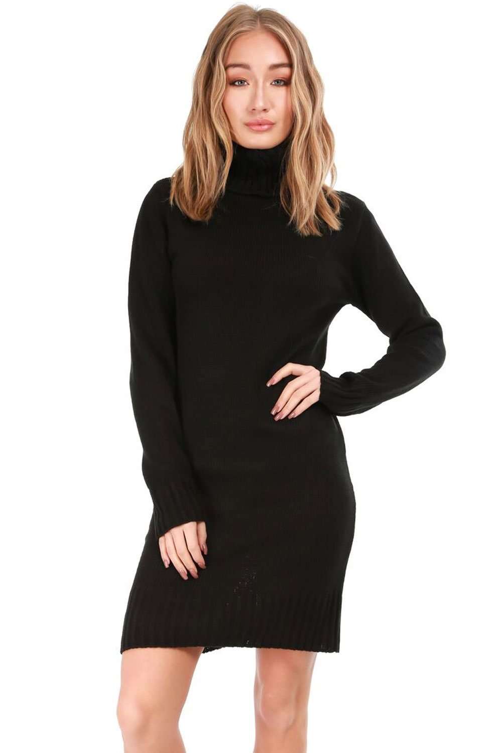 Darcie Roll Neck Knitted Jumper Dress - bejealous-com