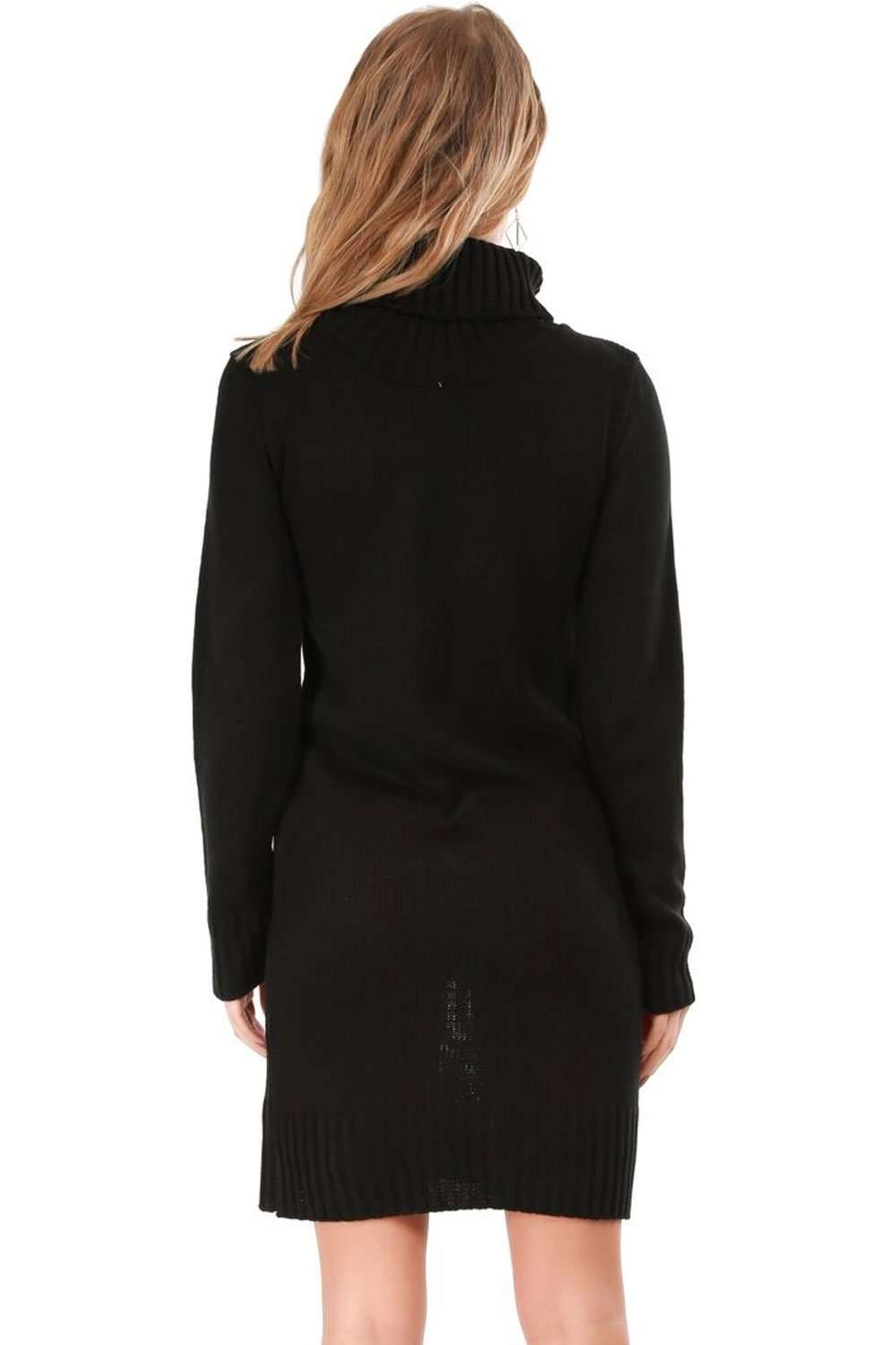 Darcie Roll Neck Knitted Jumper Dress - bejealous-com