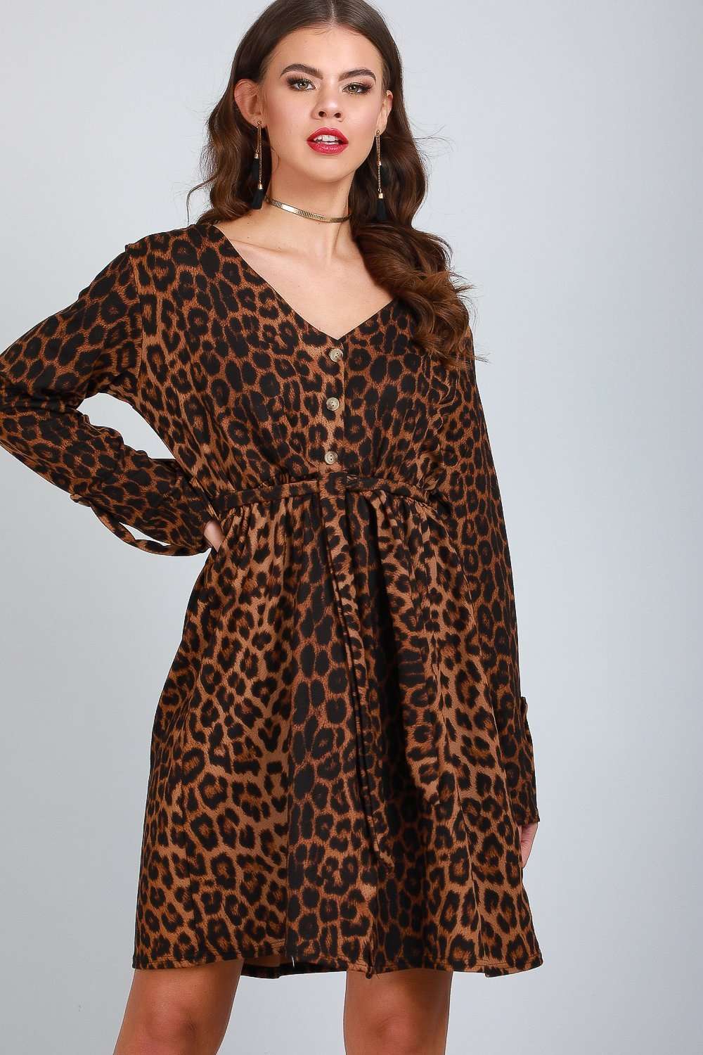 Jess Long Sleeve Leopard Print Shift Dress - bejealous-com