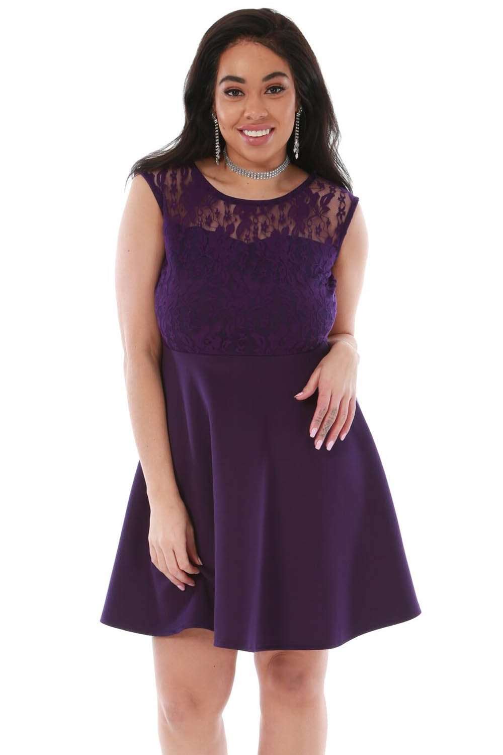 Plus Size Sleeveless Lace Mini Skater Dress - bejealous-com