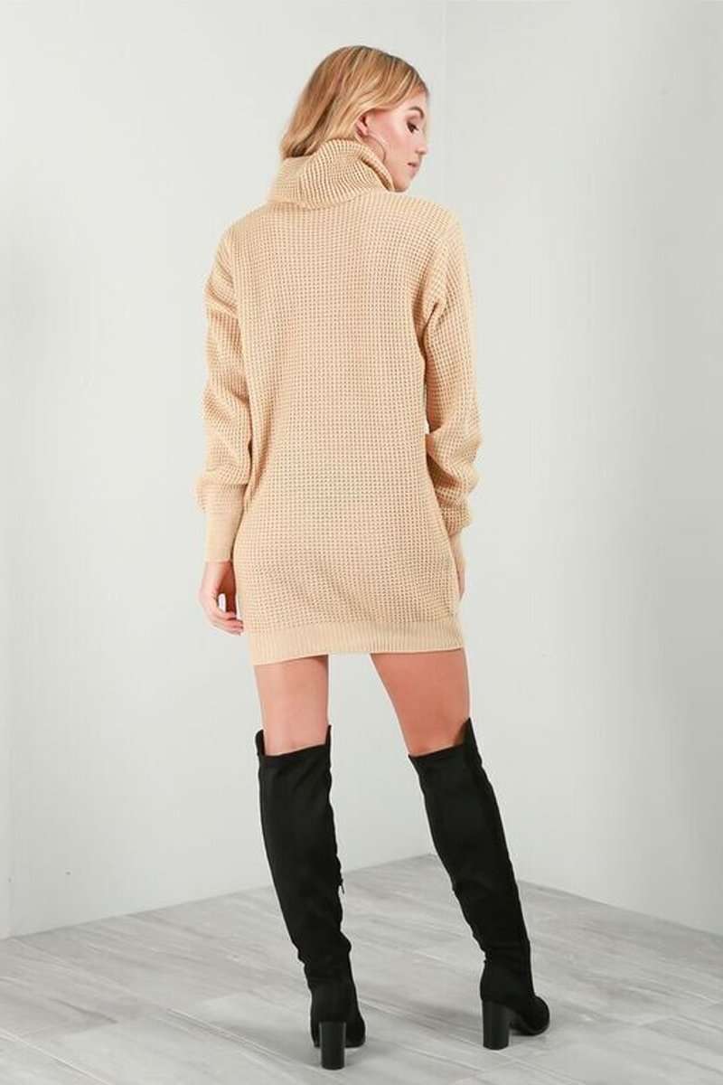 Long Sleeve Turtle Neck Knitted Dress - bejealous-com