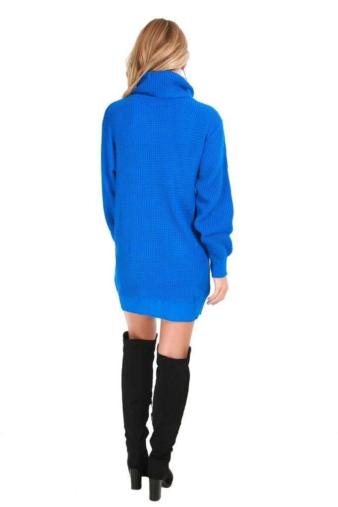 Sophia Long Sleeve Roll Neck Oversized Knitted Dress - bejealous-com